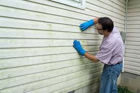 Affordable Siding Repair and Maintenance Services in El Paso, IL